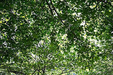 《最后的生还者》艾需的信件全部由开发团队手写