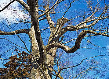 《失落之魂》Steam版国区268元 推荐RTX 2060